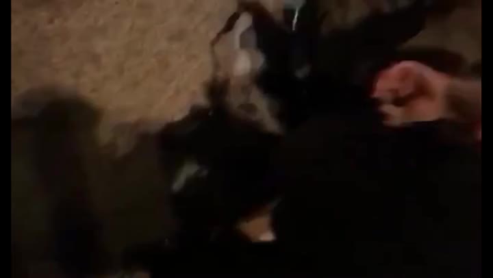 捉奸现场实录
