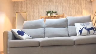 大长腿少妇上位骑坐