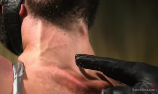 Ace Rockwood Stroke37