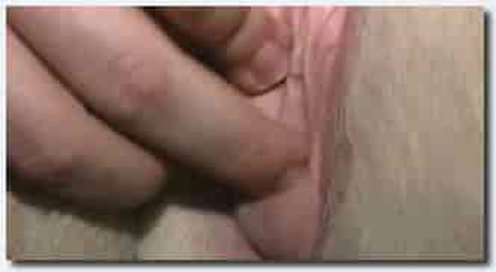 ！人与动物~母马~母马~新建文件夹~minimares