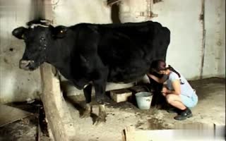 “在一个热闹的动物园播放期间在严重的性交场景中的粗暴的妻子色情