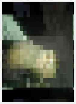 坦米家伙礼物呈现公鸡拉玛