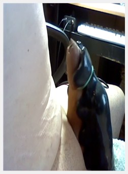 男牛奶机器, 机器榨乳