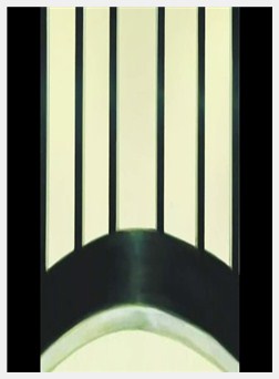 性裁～白浊のみそぎ～ 后编