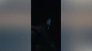 路边勾引帅哥回家做爱