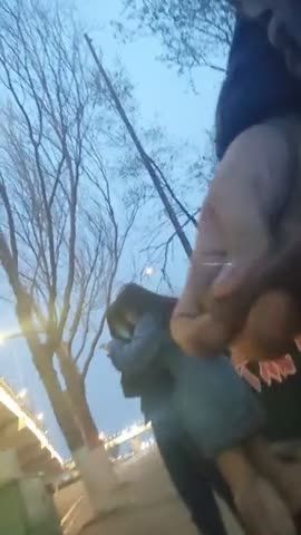 ZAY21091802~【全網首發】【稀缺資源】2021黑虎露出第6季共3期69部之第3期，黑虎街頭露出給美女看JB，純露出沒有塗鴉和頂 稀缺資源絕版收藏～高清原版~47