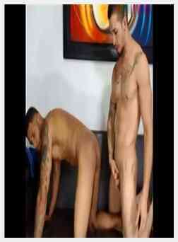 疯狂的拉丁裔住