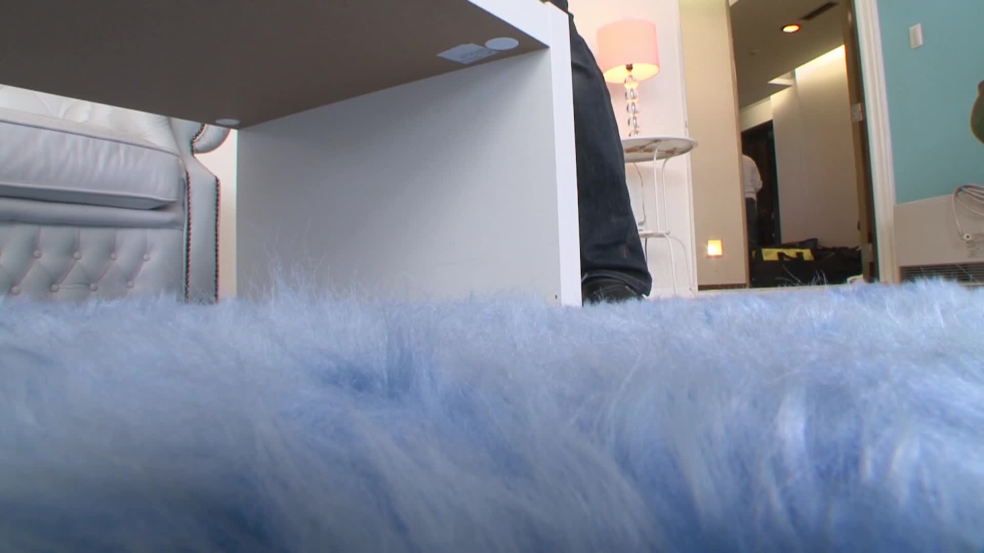 dv-1241在 4 秒内相遇并团结起来