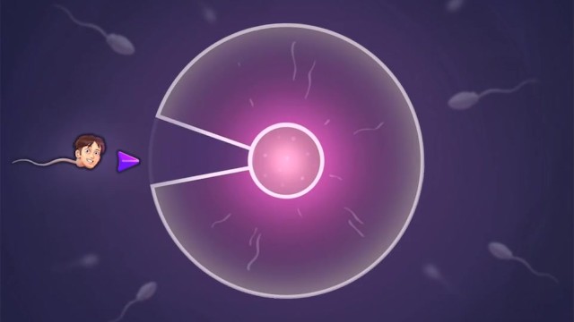 SummertimeSaga OMG SHES怀孕了-第130部分