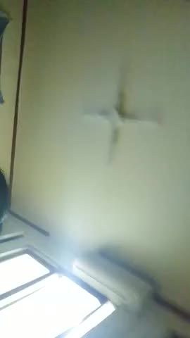 IPX-131乳头僵硬的快感无端性爱经过一周 西宫梦