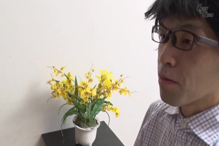 夫の実家で起こった悲剧 波多野结衣