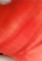 最新众筹G哥大尺度白金版视频大奶模特鹿儿酒店私拍被摄影师咸猪手淫猥