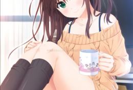 お兄ちゃん、朝までずっとギュッてして！ 女未そら編（1巻）