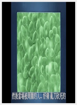 女狼狂濡 1 妄獣篇