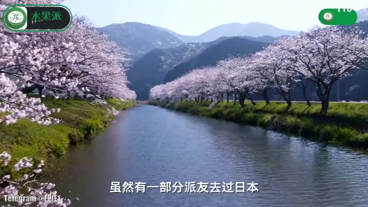 最新精品大片约会极品良家少妇 new