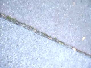 气质人妻一日体验