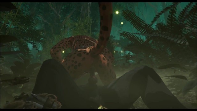 人类x毛茸茸的动画（野生动物游戏）