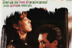 除了丝绸窗帘 실크커텐 저편 (1991)