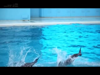 SDNM-168 若き日の潮風の匂いが蘇る。