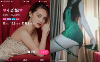 某主播平台私密流出小哈尼