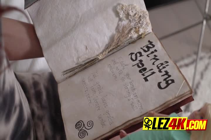 Aidra Fox and Giselle Palmer pussy licking in 69 on bed6