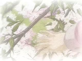 [H無碼]Natural2  第1話「千紗都」