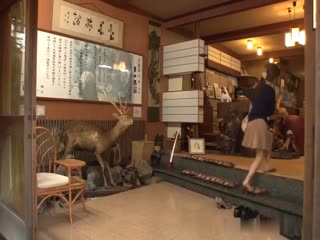 DISM-020「30歳をすぎて初めての混浴に入ってのぼせた美叔母の胸を見ながらせんず