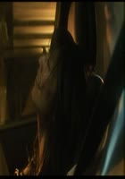 裸体之夜：掠夺狂爱