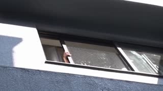 赤裸裸地诱惑我