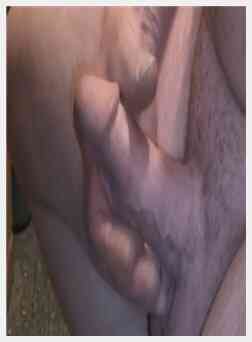 这对ls来说很有趣