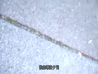 优雅智慧美人的害羞粗俗脏话吉永幸美