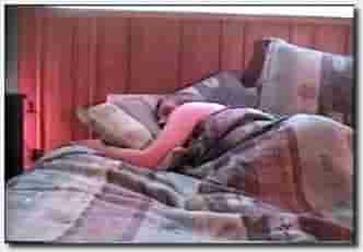 ！人与动物~母狗~美女母狗~Caledonian Wake Up Frisky