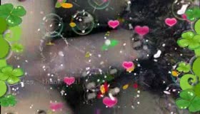 啊啊啊在校妹子的小淫逼