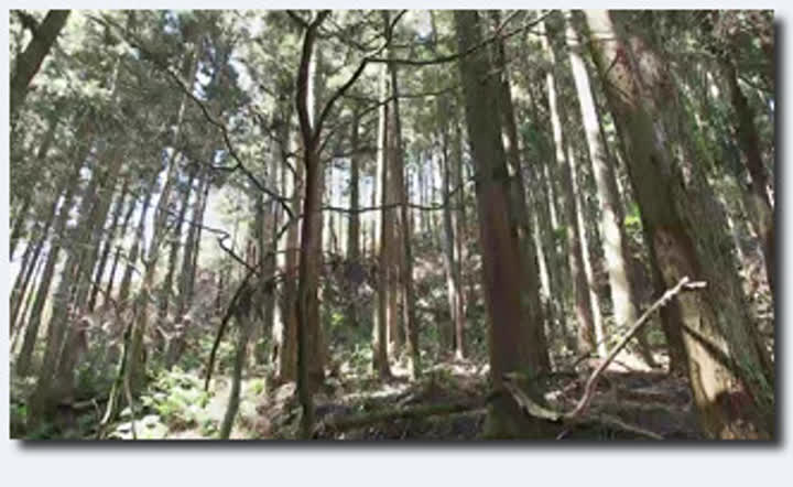 【最新 真无码流出】处女出道玉女『户田真琴』离家女孩遇屌丝不断地生与死交配 强番STARS247 超清无码母带