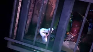 魔兽世界之艾达王与美女【3D】