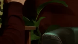 年轻的女孩尝试色情