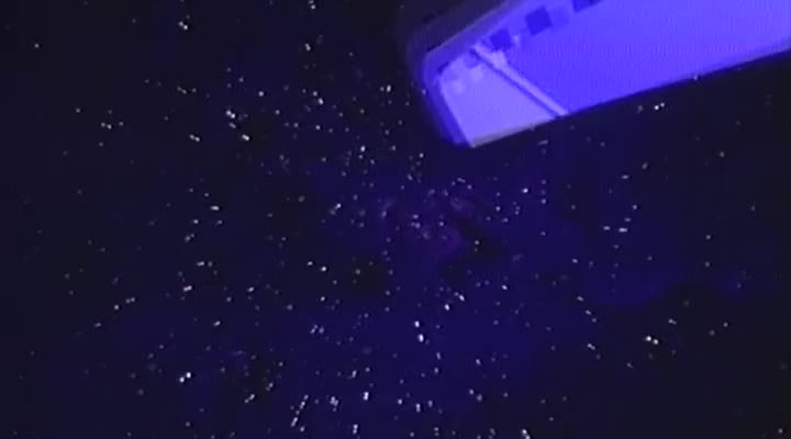 色降II血玫瑰（aka邪神）TheBeautysEvilRose1992LDDVDripx264AC3Romantic