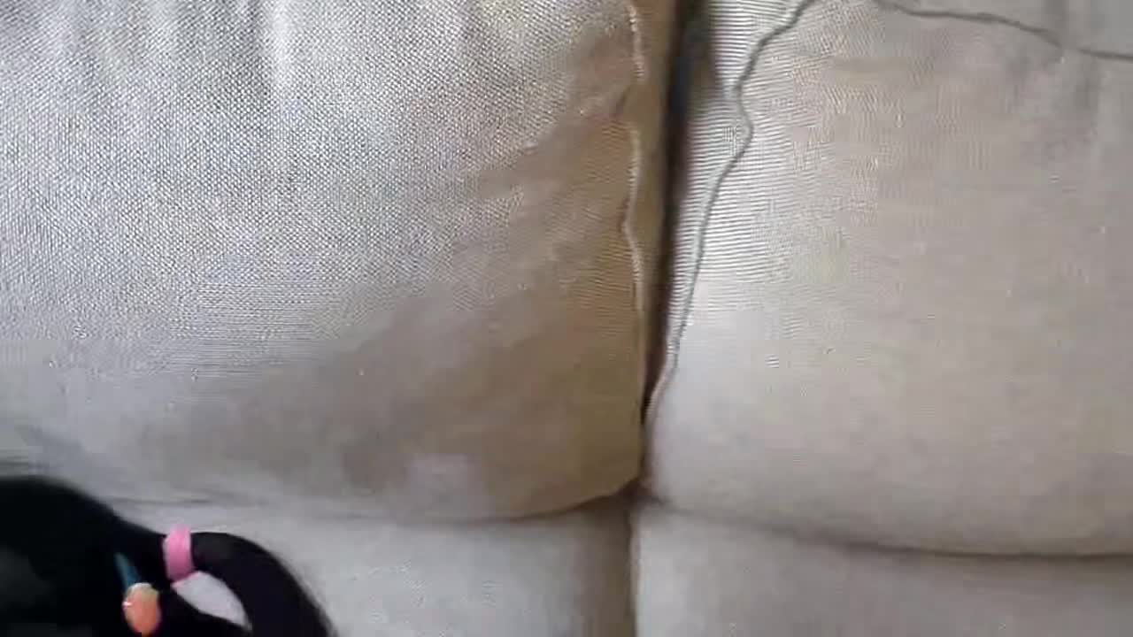 开放淫荡学妹与洋教性爱记，洛麗塔装游玩后吃肉棒。 new