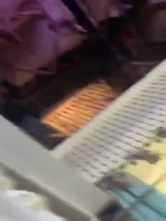 大辽小骚货，duangduangduang