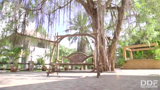 “后花园 -燥热绿带园