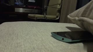 屌哥 酒店操翻80后豪放少妇~“快把我操死!!”