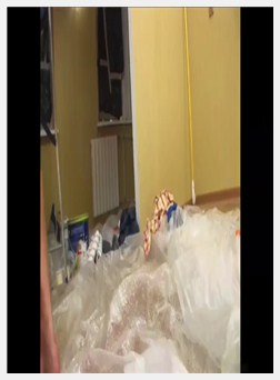 同性恋画家吸一只公鸡