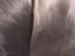 “好奇的寂寞螺柱暴露自己，并在精彩的口腔服务现场对待他的爱犬