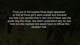 和饿狼一起群交【3D】