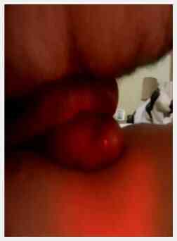 好同性恋暨射击美丽的公鸡剪辑