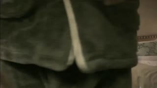 【情感主播李寻欢呀】短发外围女神，门票138，4500来一炮，娇俏魅惑极品尤物，插入鲍鱼干高潮