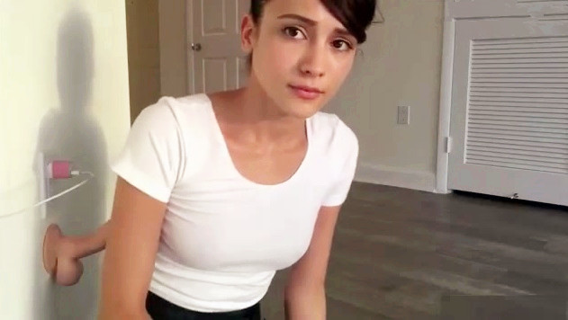 NO爸爸我的猫再也受不了了(2)