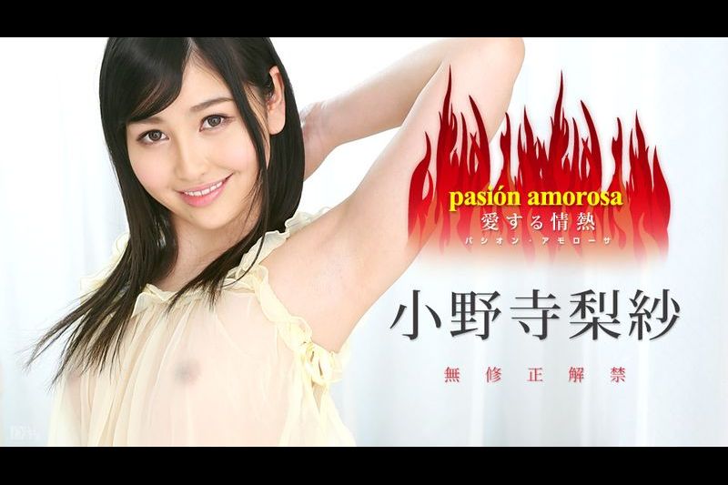 パシオンアモローサ 爱する情热 5～