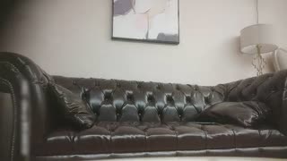 69极品探花巅峰之夜网红脸外围小姐姐美艳动人沙发啪啪后入女神!