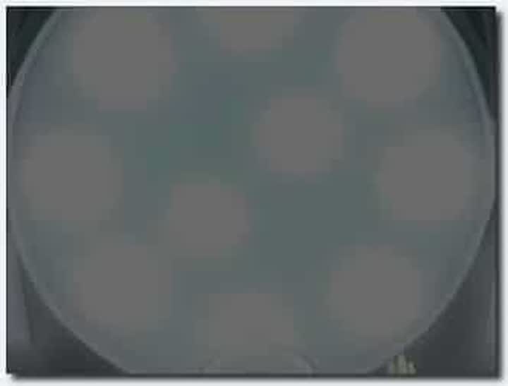 18禁アニメ 無修正 milky 姦獄 ～淫辱の実験棟～ LEVEL2 完結編 DVD 960x720 x264 AAC new